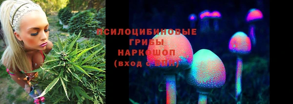 кокаин Краснослободск