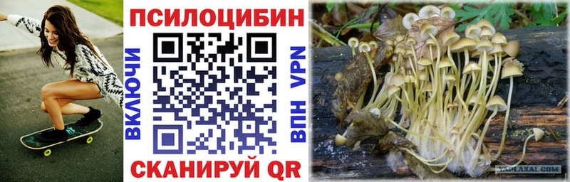 Купить  Карачаевск  Галлюциногенные грибы GOLDEN TEACHER 
